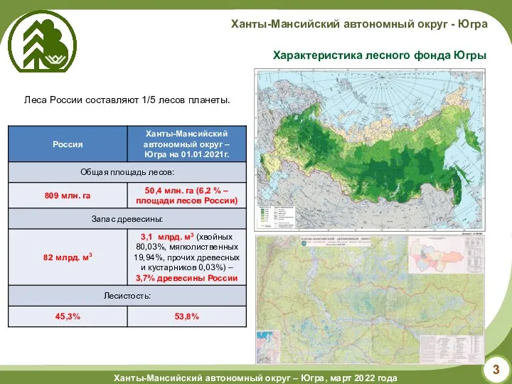 Характеристика лесного фонда Югры Леса России составляют 1/5 лесов планеты.