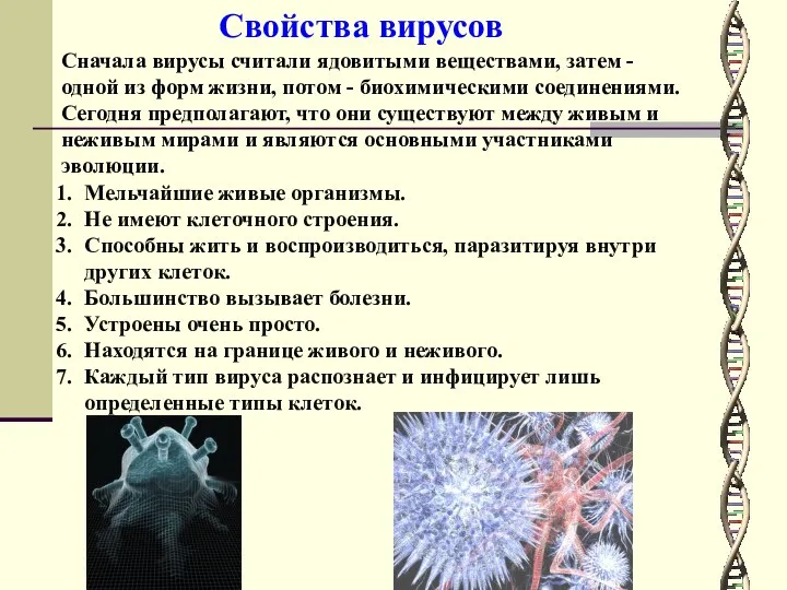 Мельчайшие живые организмы. Не имеют клеточного строения. Способны жить и воспроизводиться,