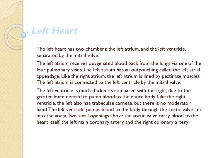 Left Heart The left heart has two chambers: the left atrium,