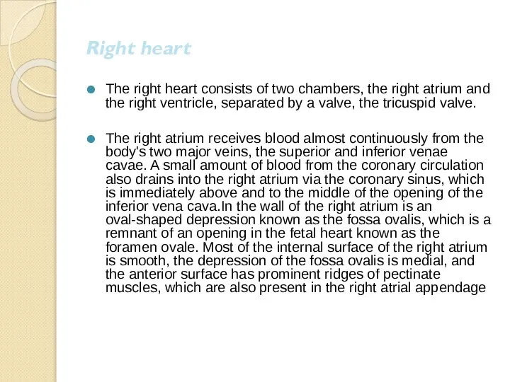 Right heart The right heart consists of two chambers, the right