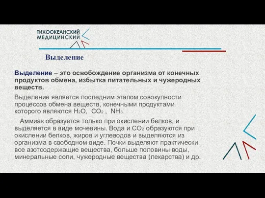 Выделение Выделение – это освобождение организма от конечных продуктов обмена, избытка