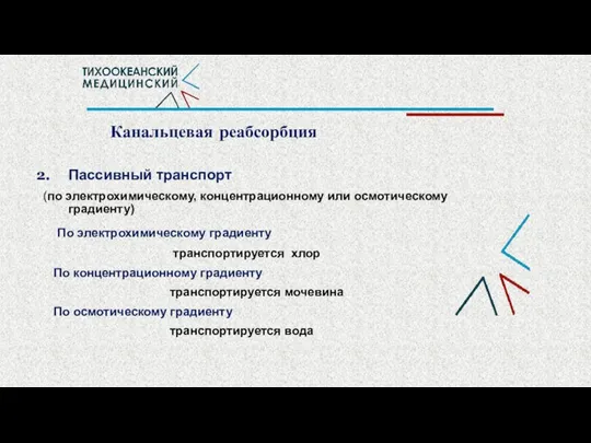 Пассивный транспорт (по электрохимическому, концентрационному или осмотическому градиенту) По электрохимическому градиенту