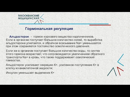 Гормональная регуляция Альдостерон – гормон коркового вещества надпочечников. Если в организм