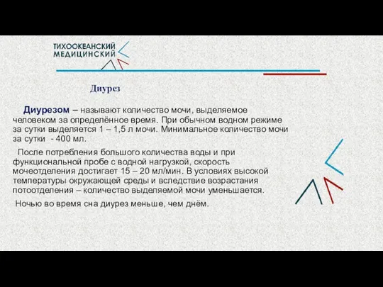 Диурез Диурезом – называют количество мочи, выделяемое человеком за определённое время.