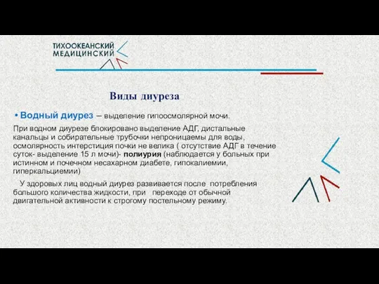 Водный диурез – выделение гипоосмолярной мочи. При водном диурезе блокировано выделение