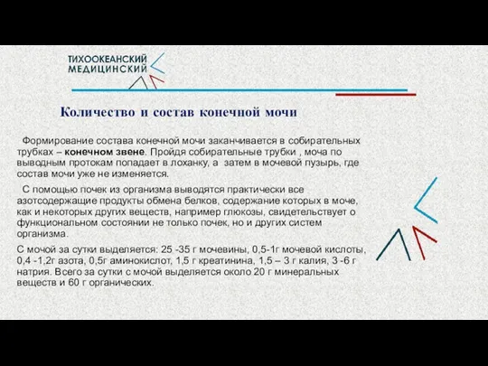 Количество и состав конечной мочи Формирование состава конечной мочи заканчивается в