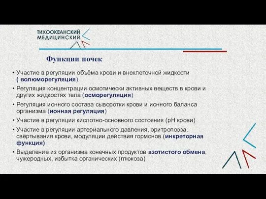 Функции почек Участие в регуляции объёма крови и внеклеточной жидкости (