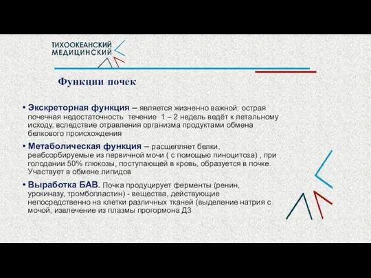 Функции почек Экскреторная функция – является жизненно важной: острая почечная недостаточность