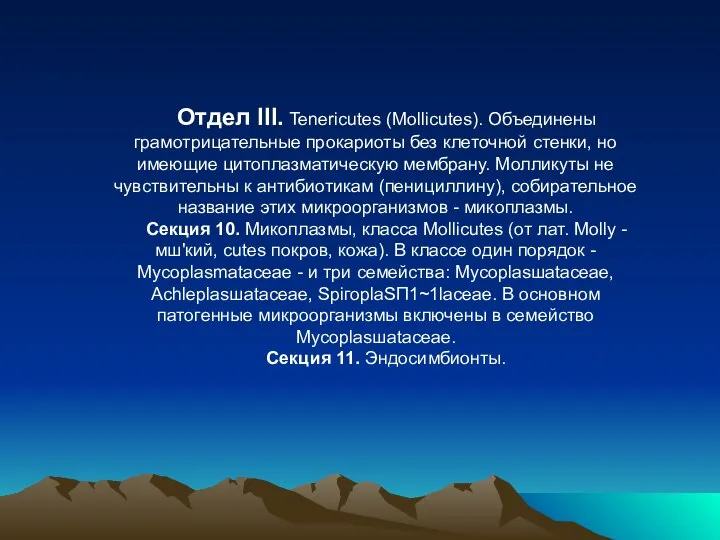 Отдел III. Tenericutes (Mollicutes). Объединены грамотрицательные прокариоты без клеточной стенки, но