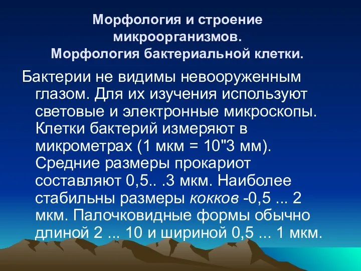 Морфология и строение микроорганизмов. Морфология бактериальной клетки. Бактерии не видимы невооруженным