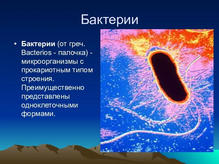 Бактерии Бактерии (от греч. Bacterios - палочка) - микроорганизмы с прокариотным