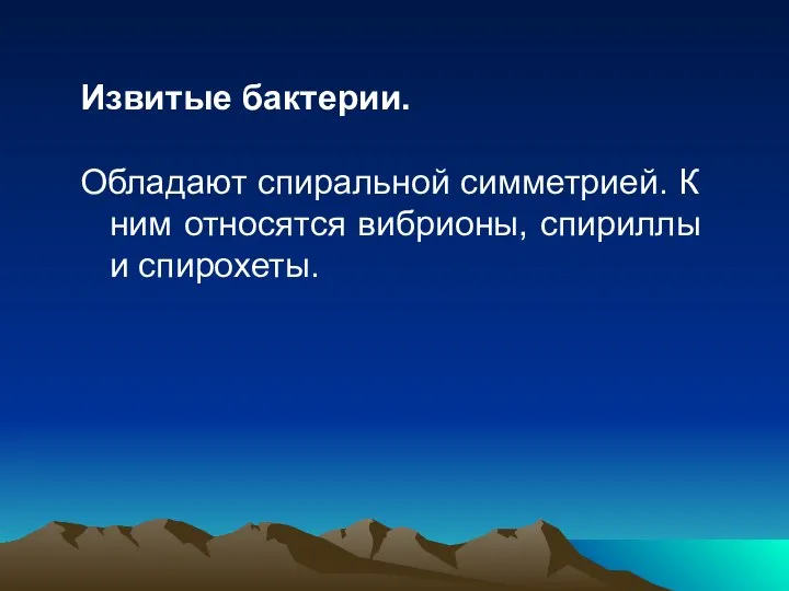 Извитые бактерии. Обладают спиральной симметрией. К ним относятся вибрионы, спириллы и спирохеты.