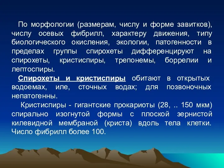 По морфологии (размерам, числу и форме завитков), числу осевых фибрилл, характеру