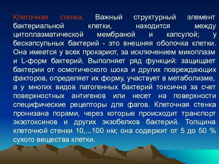 Клеточная стенка. Важный структурный элемент бактериальной клетки, находится между цитоплазматической мембраной