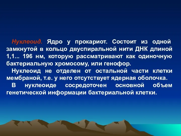 Нуклеоид. Ядро у прокариот. Состоит из одной замкнутой в кольцо двуспиральной