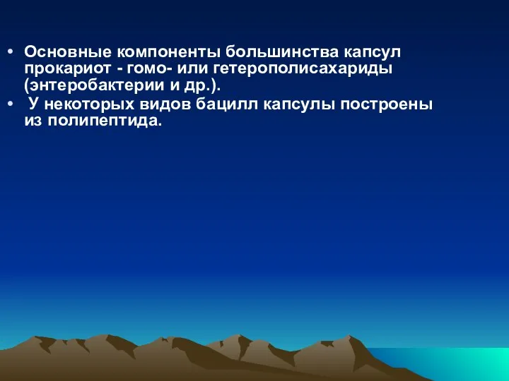 Основные компоненты большинства капсул прокариот - гомо- или гетерополисахариды (энтеробактерии и