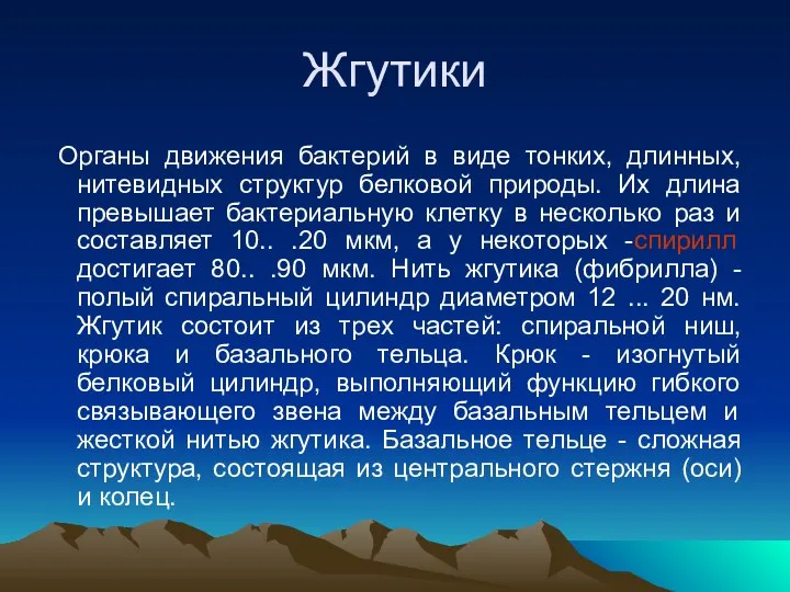 Жгутики Органы движения бактерий в виде тонких, длинных, нитевидных структур белковой