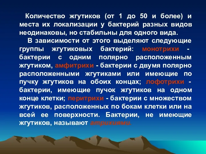 Количество жгутиков (от 1 до 50 и более) и места их