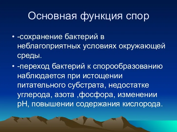 Основная функция спор -сохранение бактерий в неблагоприятных условиях окружающей среды. -переход