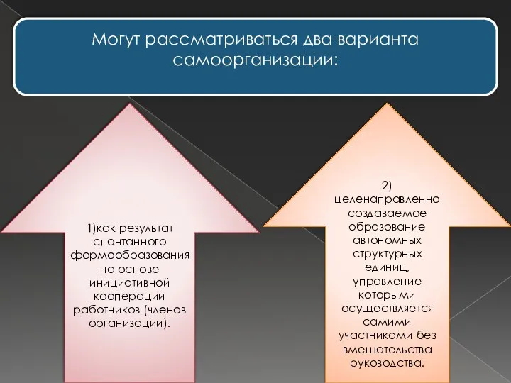 Могут рассматриваться два варианта самоорганизации: 1)как результат спонтанного формообразования на основе