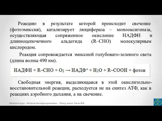 Реакцию в результате которой происходит свечение (фотоэмиссия), катализирует люцифераза – монооксигеназа,