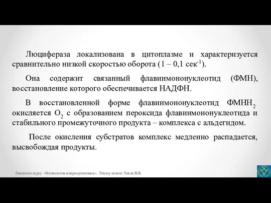 Люцифераза локализована в цитоплазме и характеризуется сравнительно низкой скоростью оборота (1