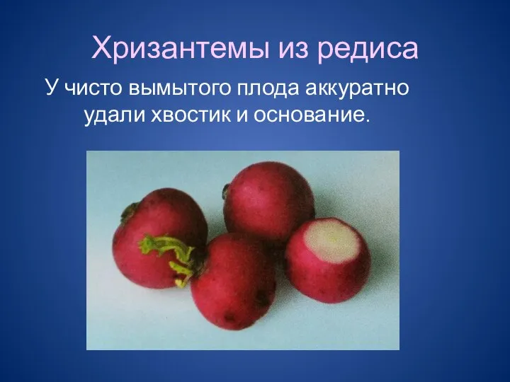 Хризантемы из редиса У чисто вымытого плода аккуратно удали хвостик и основание.