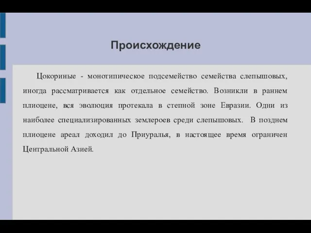 Происхождение Цокориные - монотипическое подсемейство семейства слепышовых, иногда рассматривается как отдельное