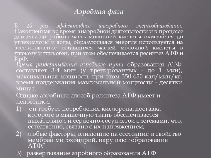 Аэробная фаза В 20 раз эффективнее анаэробного энергообразования. Накопленная во время