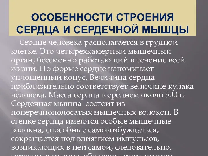 ОСОБЕННОСТИ СТРОЕНИЯ СЕРДЦА И СЕРДЕЧНОЙ МЫШЦЫ Сердце человека располагается в грудной