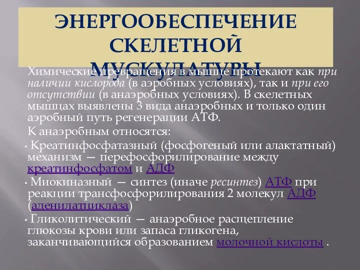 ЭНЕРГООБЕСПЕЧЕНИЕ СКЕЛЕТНОЙ МУСКУЛАТУРЫ Химические превращения в мышце протекают как при наличии