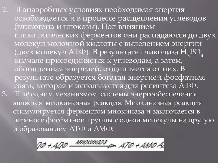 2. В анаэробных условиях необходимая энергия освобождается и в процессе расщепления