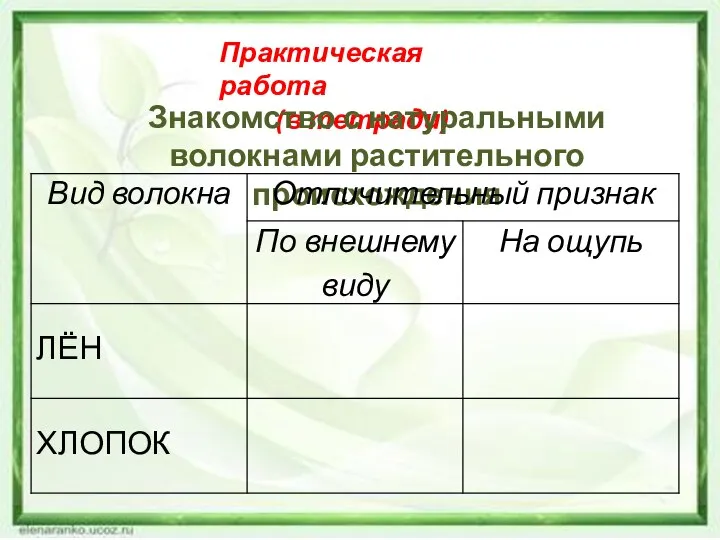 Практическая работа (в тетради) Знакомство с натуральными волокнами растительного происхождения