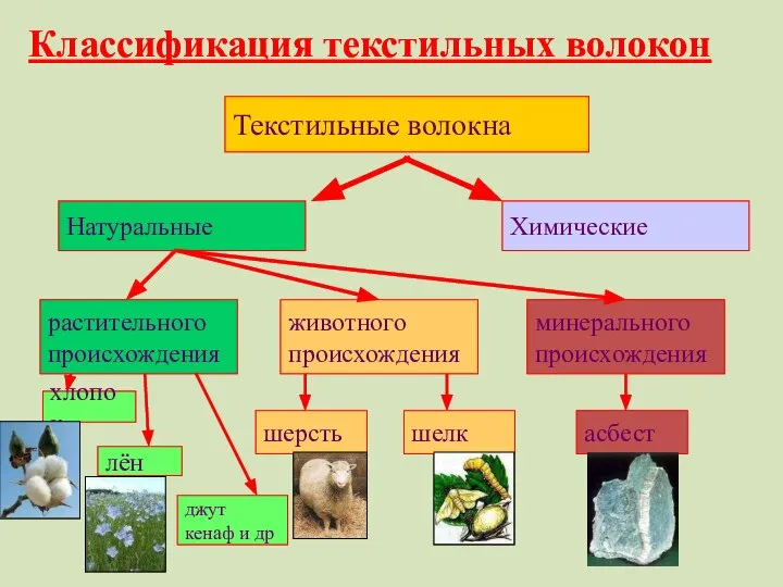 Текстильные волокна Натуральные Химические растительного происхождения животного происхождения хлопок лён джут