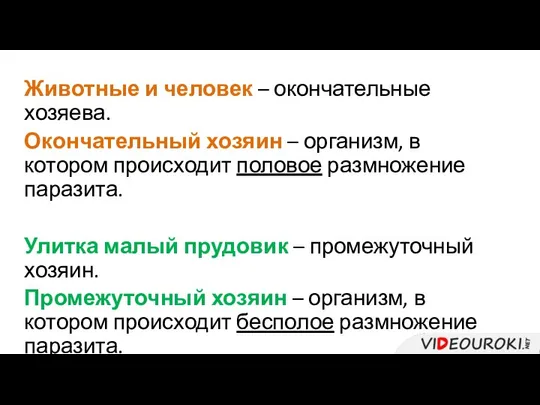 Животные и человек – окончательные хозяева. Окончательный хозяин – организм, в