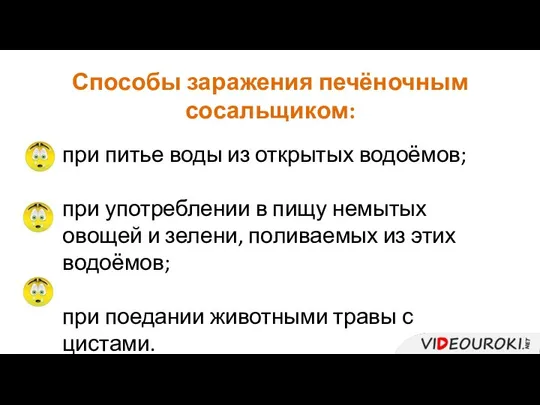 Способы заражения печёночным сосальщиком: при питье воды из открытых водоёмов; при