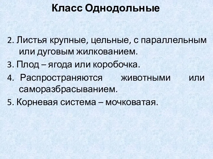 2. Листья крупные, цельные, с параллельным или дуговым жилкованием. 3. Плод