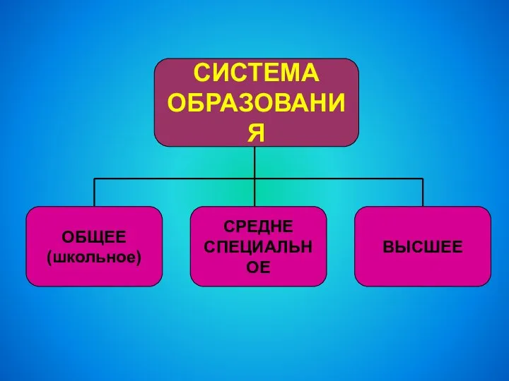 ОБЩЕЕ (школьное) СРЕДНЕ СПЕЦИАЛЬНОЕ ВЫСШЕЕ