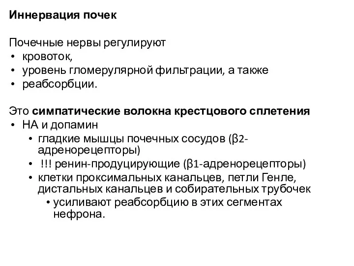 Иннервация почек Почечные нервы регулируют кровоток, уровень гломерулярной фильтрации, а также