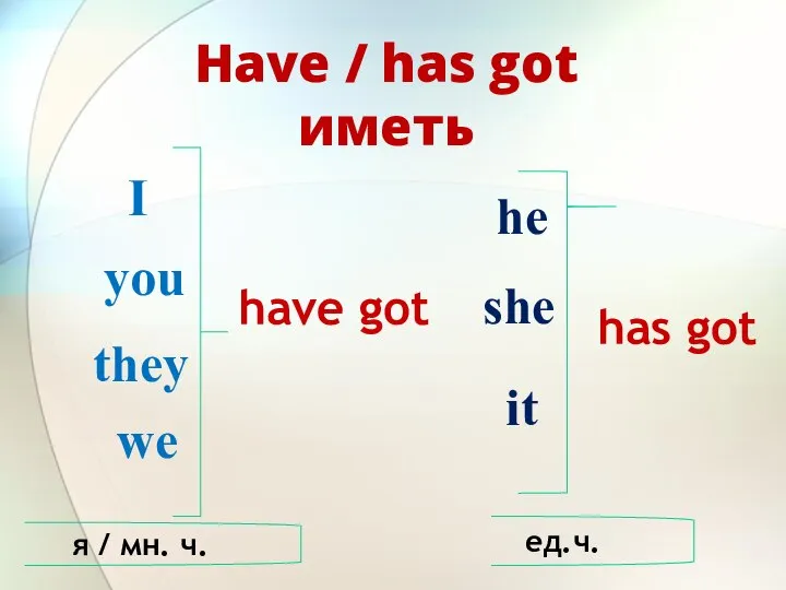 Have / has got иметь I you they we he she