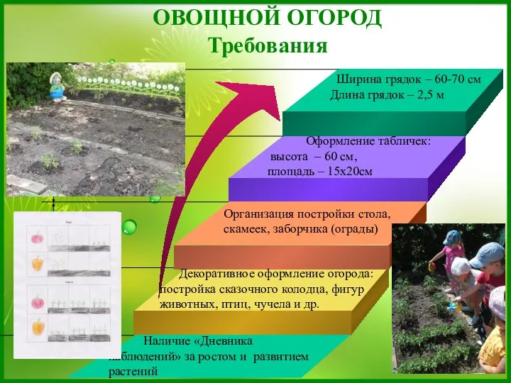 ОВОЩНОЙ ОГОРОД Требования Оформление табличек: высота – 60 см, площадь –