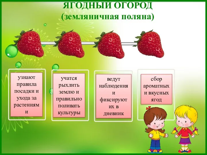 ЯГОДНЫЙ ОГОРОД (земляничная поляна) узнают правила посадки и ухода за растениями