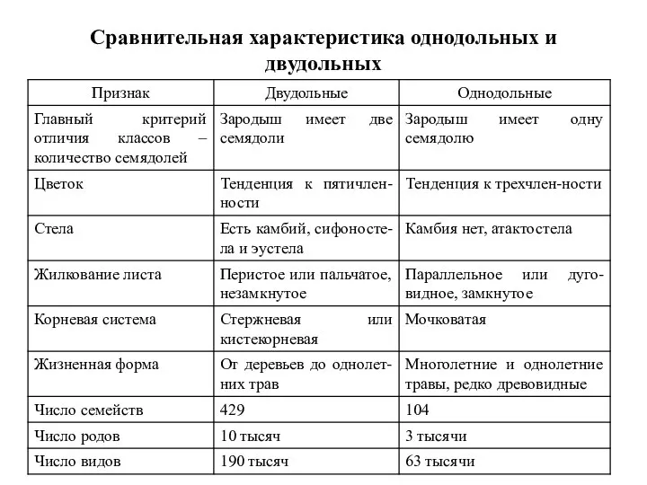 Сравнительная характеристика однодольных и двудольных