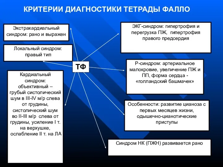 Локальный синдром: правый тип Кардиальный синдром: объективный – грубый систолический шум