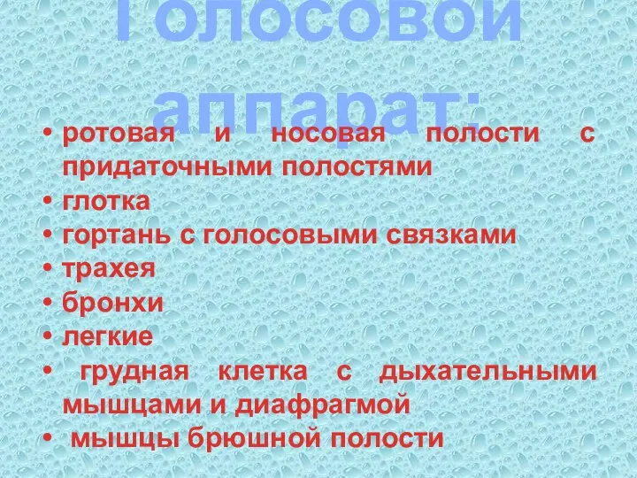 Голосовой аппарат: ротовая и носовая полости с придаточными полостями глотка гортань