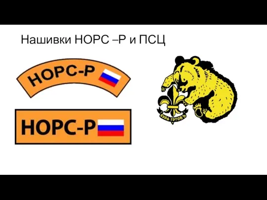 Нашивки НОРС –Р и ПСЦ