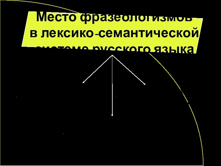 Место фразеологизмов в лексико-семантической системе русского языка Фразелогизмы- синонимы Фразелогизмы- антонимы Фразелогизмы- омонимы