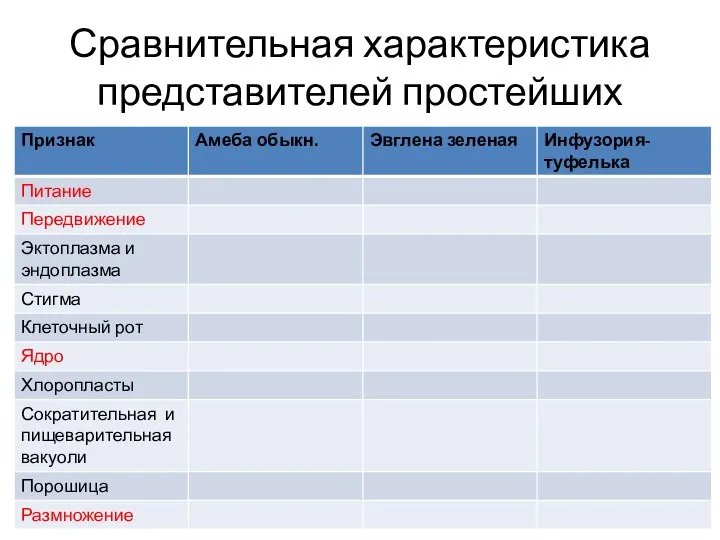 Сравнительная характеристика представителей простейших