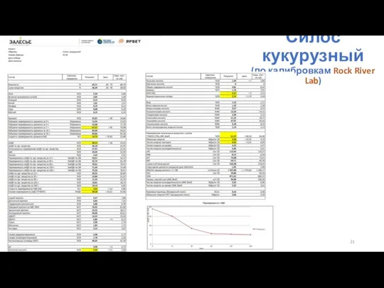 Силос кукурузный (по калибровкам Rock River Lab)