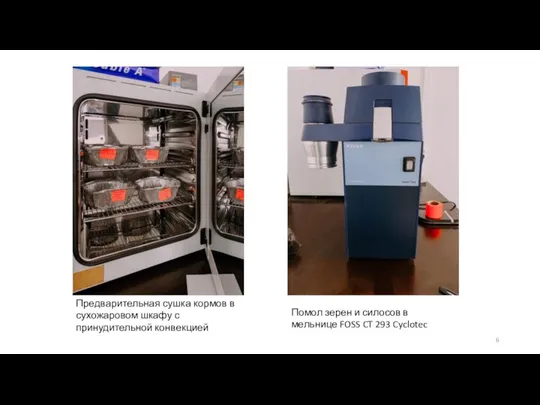 Предварительная сушка кормов в сухожаровом шкафу с принудительной конвекцией Помол зерен